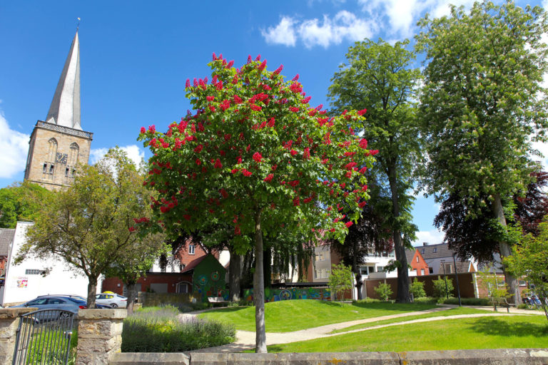 Bürgermeister Meyeringh Park in Schüttorf