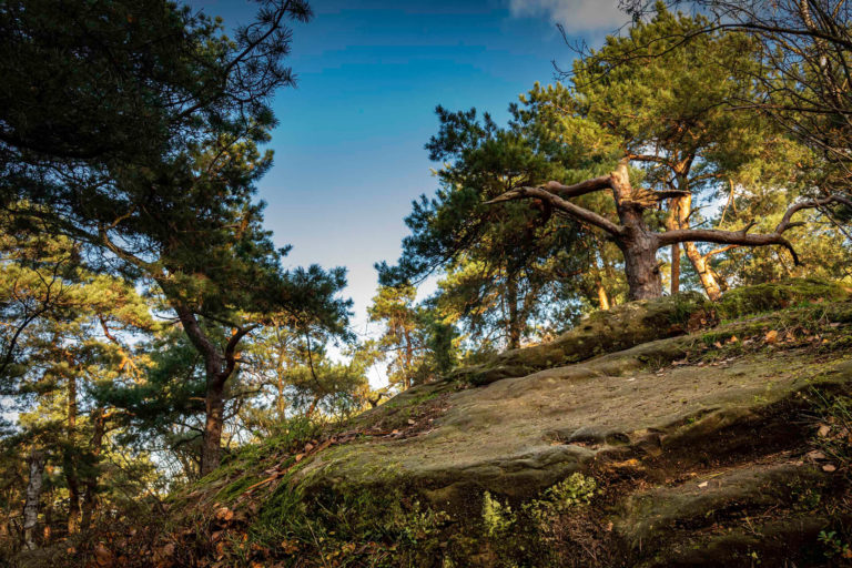 Naturfelsen Isterberg