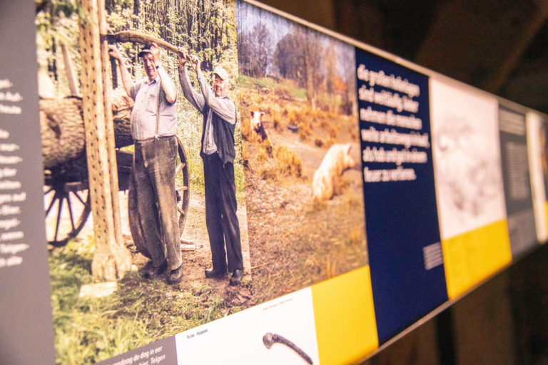 Schulze Holmer Ausstellung
