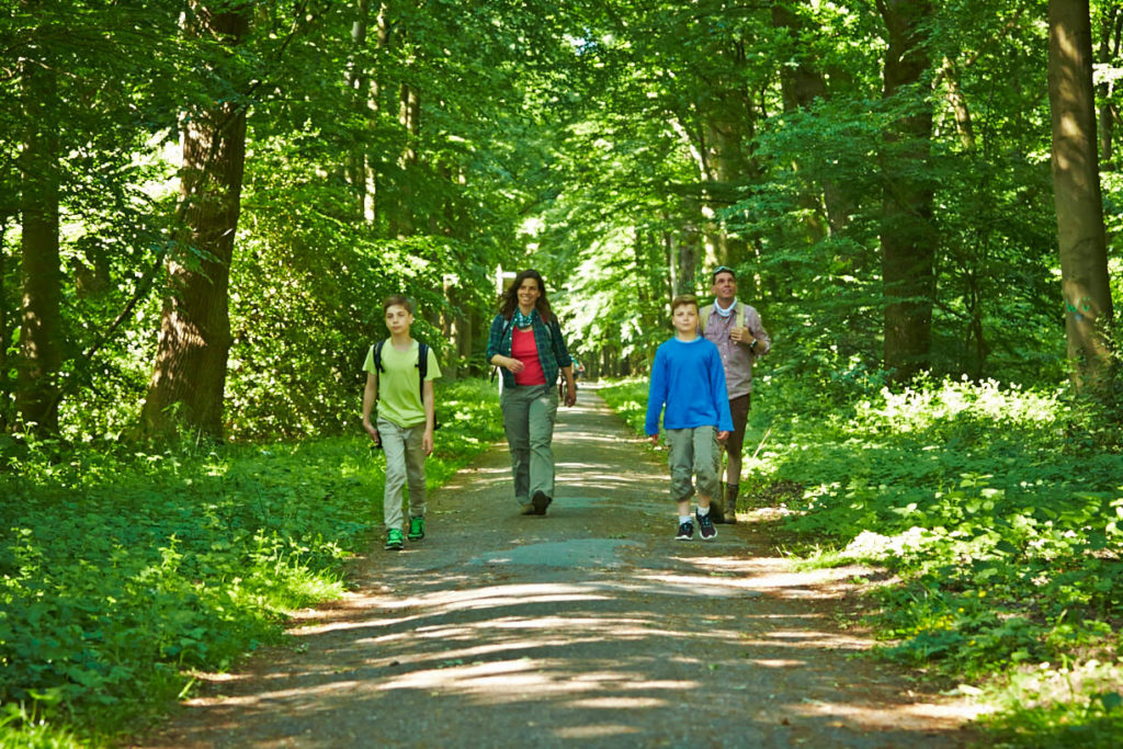 Wandern in Schüttorf